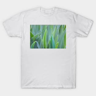 leafy monochrome T-Shirt